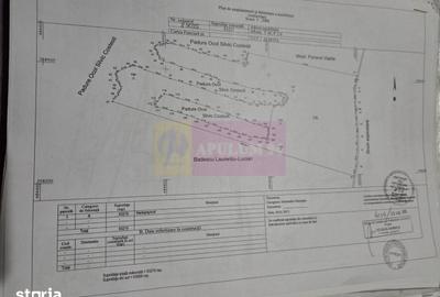 Teren de 94000 mp, în Bradu - 7