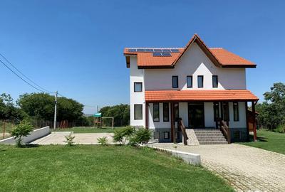 Spațiu comercial, de 450 mp, în Sasca Montană - 10