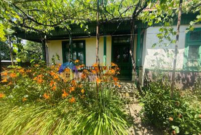 Casu?a cu istorie ideala pentru iubitorii de autentic - 5