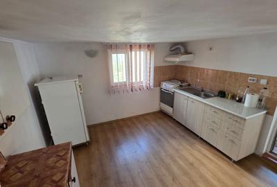 Casă + spațiu comercial la stradal, teren – 459 mp - 5