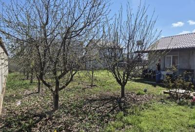 Teren în Berceni - 4
