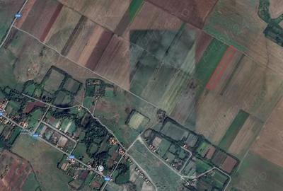 Teren în Duboz - 4