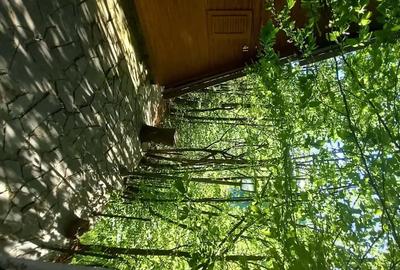 Casă cu 2 camere în Firiza - 2