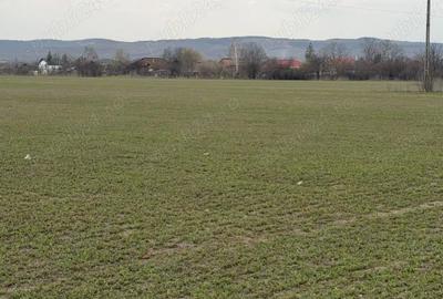 Teren de 10000 mp, în Vernești