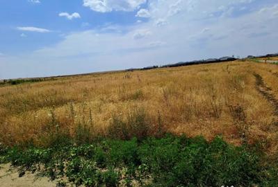 Teren de 415 mp, în Cârcea