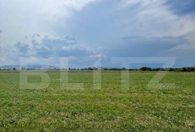 Teren extravilan,5200 mp.Vicovu de Sus - 2