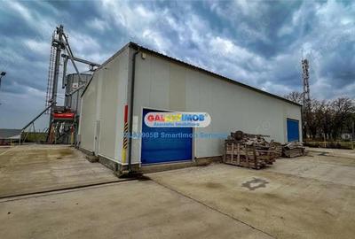 Siloz cu 880tone capacitate totala(4 celule) si| 1650mp teren - 12