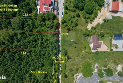 Spațiu comercial, în Timișu de Jos - 7