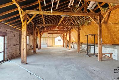 Complex imobiliar format din hale,sediu firma, studio locuit, teren, D-va Rosie - 8