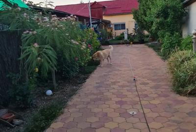 Casa de vanzare sau schinb - 4