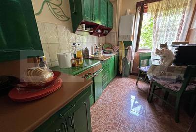 Apartament de vanzare, cu 2 camere, 48 m?, zona Arnsberg - 5