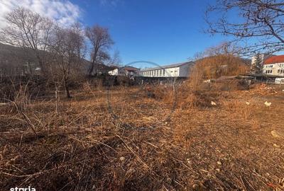 Spațiu comercial, în Viișoara - 5