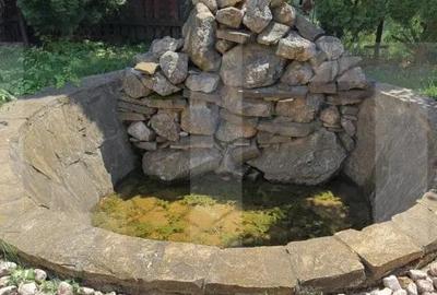 Oportunitate de investi?ie-spa?iu comercial, 420 mp, zona Restaurant Tex - 1