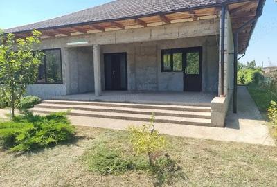 Casă cu Teren 1233 Mp în Odaia Manolache - 8