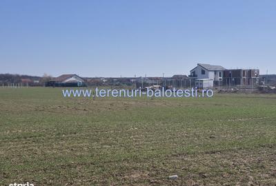 Spațiu comercial, în Balotești - 9