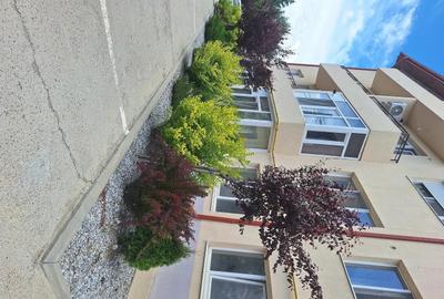Apartament cu 2 camere decomandat în Valea Lupului - 1