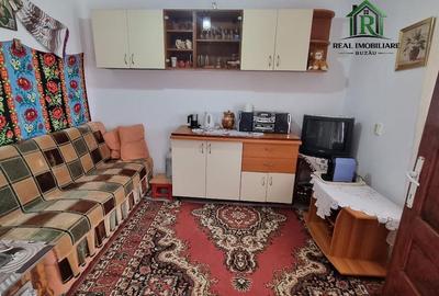 Casă cu 2 camere în Nișcov - 8