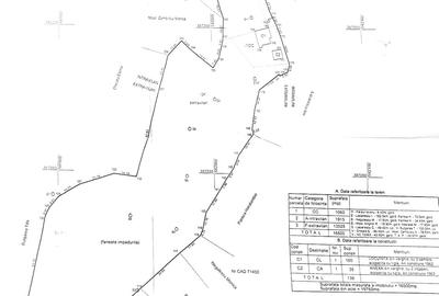 Teren Construcții intravilan de 20000 mp, în Valea Lungă - 20
