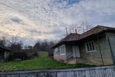 Casa + teren intravilan 6600mp A?chileu Mare - 1