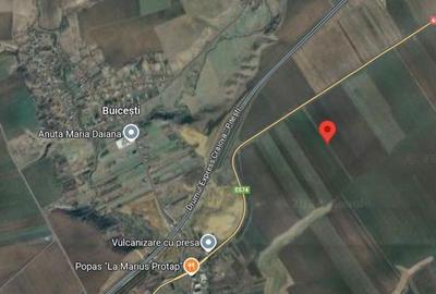 Teren extravilan 12500 mp, Valea Mare, Olt - 2