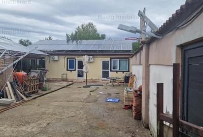 Pensiune Silistea Snagovului - 4