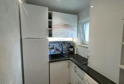 Garsonieră semidecomandată în Terezian - 3