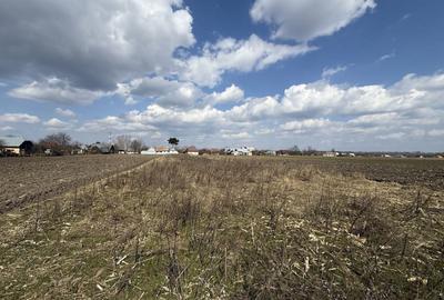 Teren Construcții intravilan de 3014 mp, în Frătăuții Vechi - 6