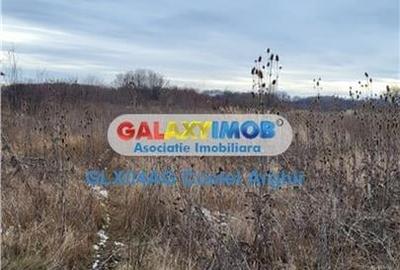 Vindem teren intravilan 3500 mp Smeura Vindem teren intravilan 3500 mp Smeura - 4