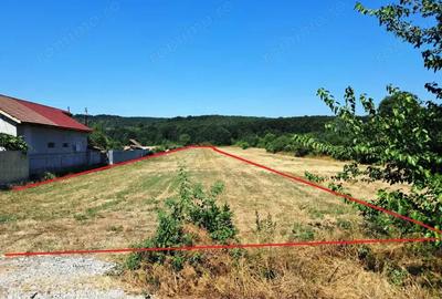TEREN INTRAVILAN ?I EXTRAVILAN TURCINE?TI