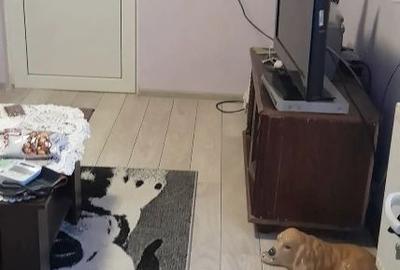 Casă individuală cu 3 camere cu Teren 120 Mp în Tineretului - 2