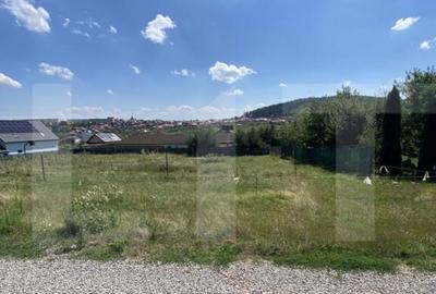 Teren intravilan de vanzare, 611 mp Strada Borviz - 2