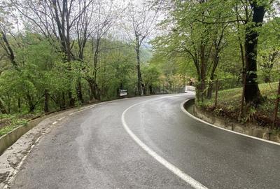 Teren intravilan, 900 (mp), zona Cornu de sus - 3