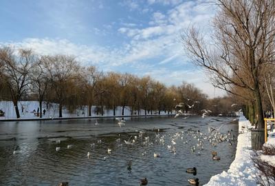 Apartament cu 3 camere semidecomandat în Titan - 24