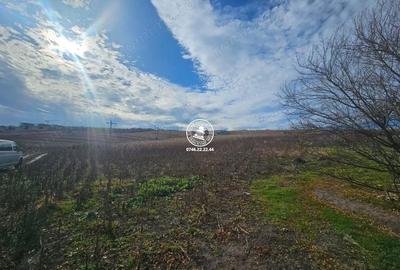 Teren de 11000 mp, în Central - 3