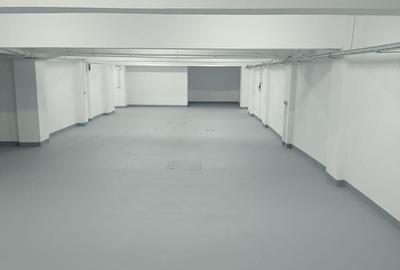 Spațiu comercial, de 523 mp, în Bucureștii Noi - 2