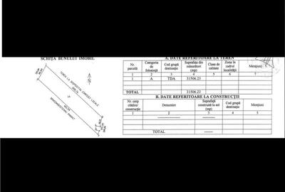 Teren Sabareni-intravilan agricol-31.506mp - 3