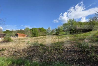 Teren Intravilan de vanzare, 900 mp, zona Valea Jelnei - 4