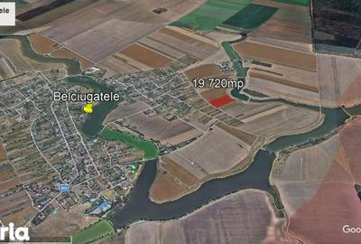 Teren de 19720 mp, în Belciugatele - 5