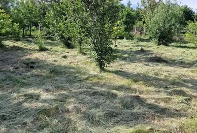 Teren de 3034 mp, în Bejan - 2