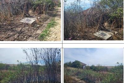 Casa si teren Sat Guruieni, cota parte de 1/2 , ID: R2319667 - 12