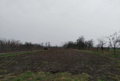 Casă cu 5 camere în Racovița - 17