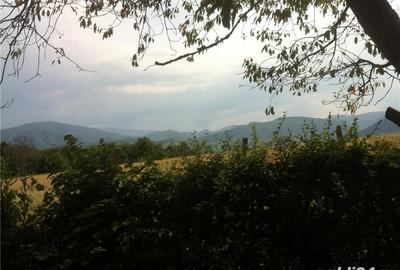 Teren de 3200 mp, în Rășinari - 2
