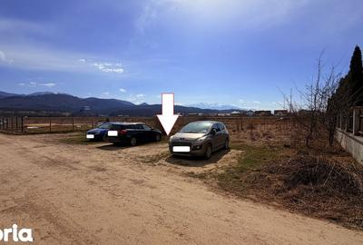 Teren de 1000 mp, în Cristian - 3