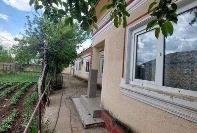 Casă individuală cu 6 camere cu Teren 1175 Mp în Islaz - 4