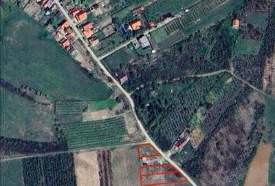 Teren Construcții intravilan de 552 mp, în Săldăbagiu de Munte