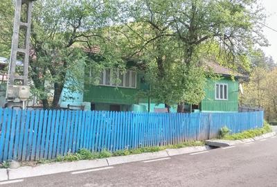 Casă cu 4 camere în Ruginoasa - 4