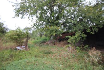 Teren Construcții intravilan de 1900 mp, în Dumbrăvița - 7