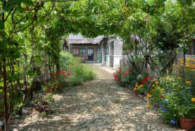 Casă cu 4 camere cu Teren 1300 Mp în Central - 2