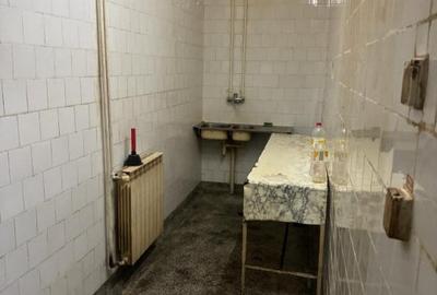 Spațiu comercial, de 380 mp, în Terezian - 16