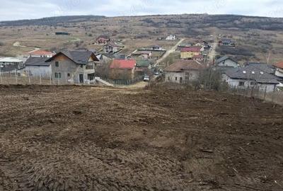 Teren de 1350 mp, în Dorobanț - 9